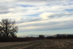 campagna premariacco